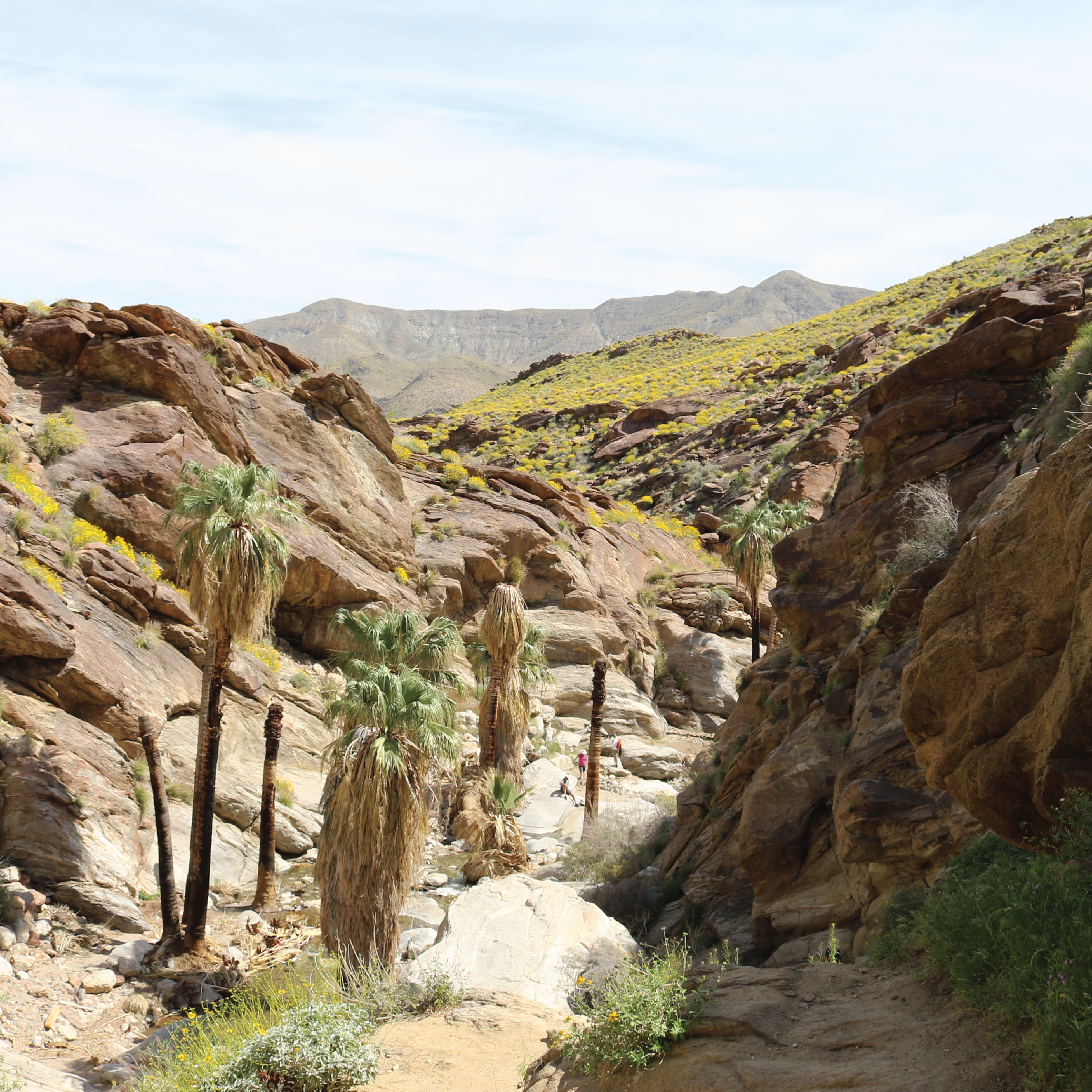 Murray Indian Canyons